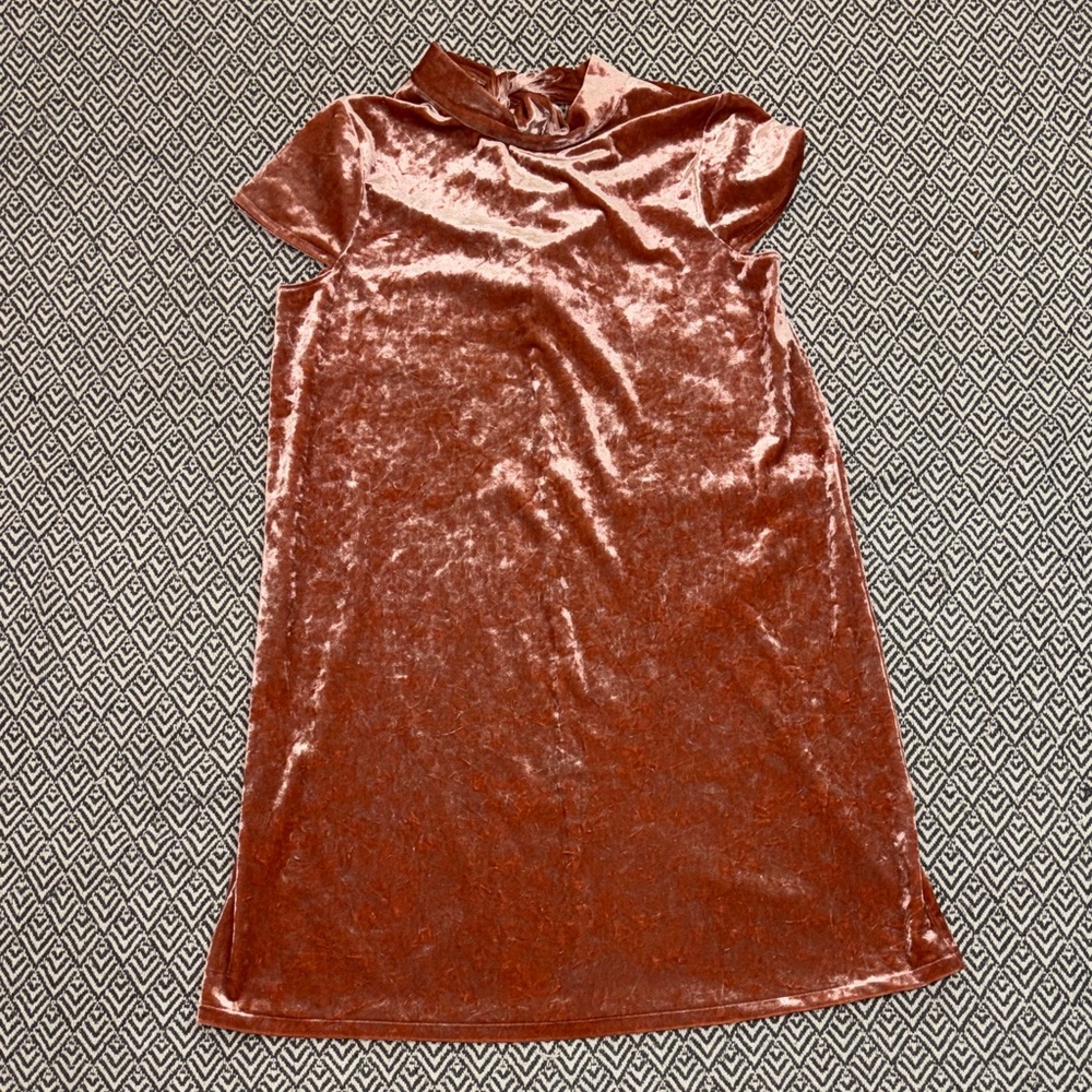 Madewell Crushed Velvet Mockneck Dress